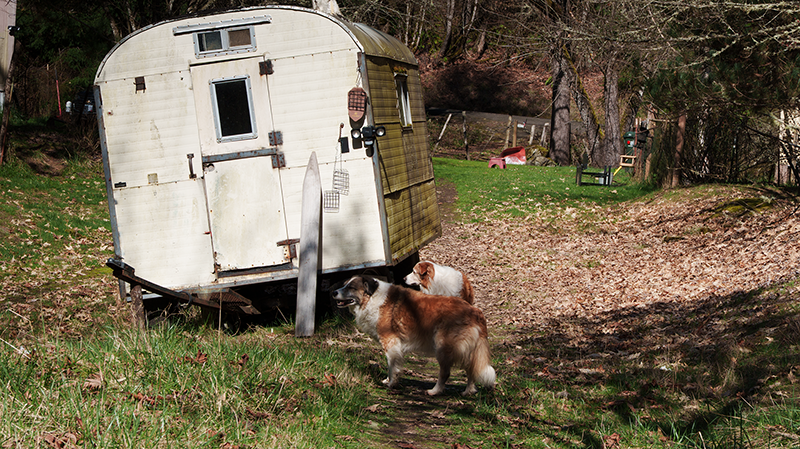 Old Sheep camp wagon